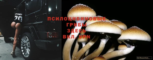 экстази Армянск
