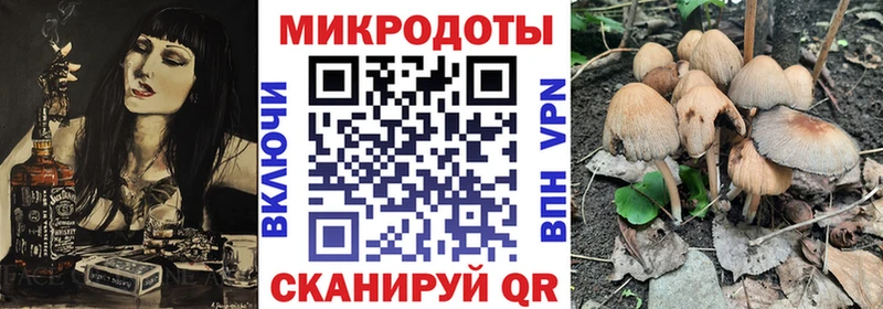 цена   Геленджик  Галлюциногенные грибы GOLDEN TEACHER 